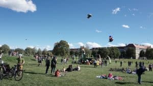 Selbst Pauli tauschte dunkle Gänge gegen luftige Höhen. Foto: Elisabeth Renneberg