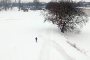 Winterfreuden in der Johannstadt. Foto: Philine Schlick