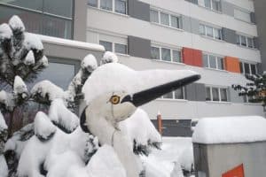 Schnee-Reiher an der Florian-Geyer-Straße. Foto: Philine Schlick