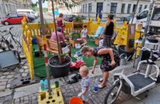 Auswertung der Baum-Umfrage in der Hertelstraße