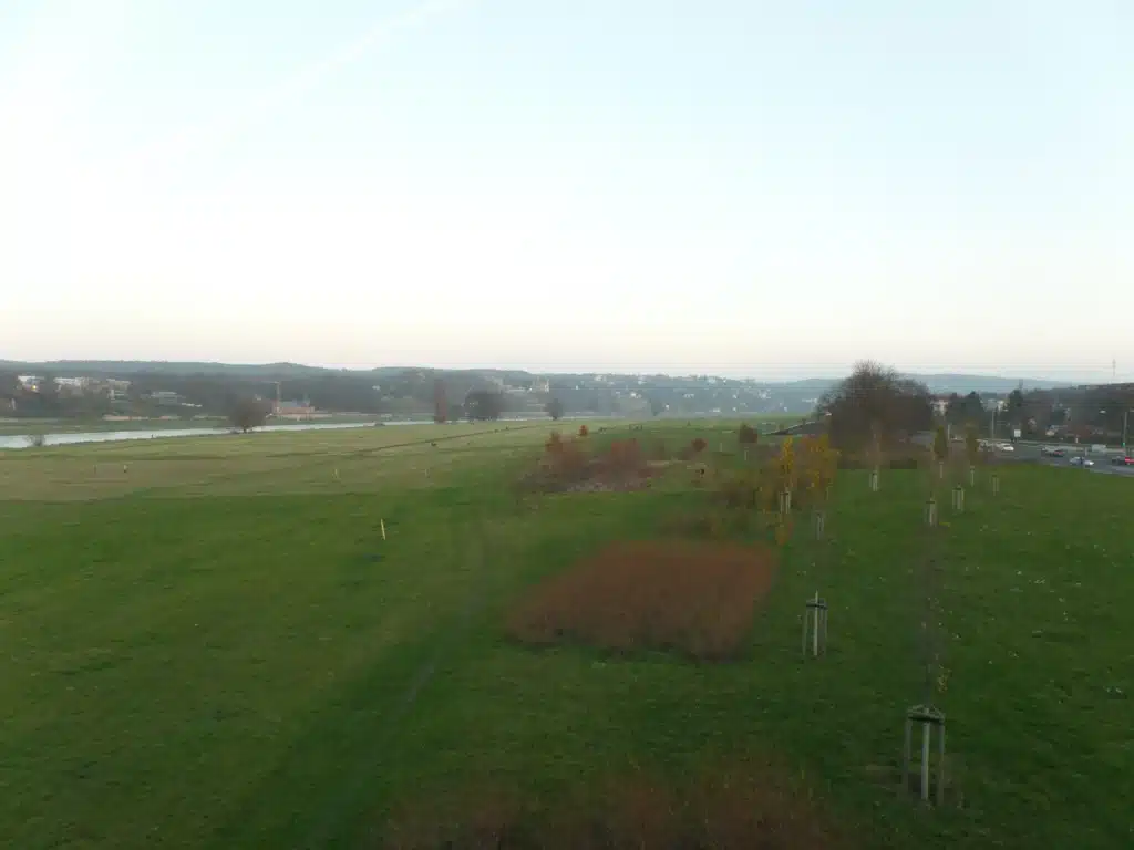 Johannstädter Elbwiesen, Blick von Waldschlösschenbrücke.