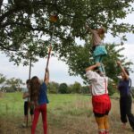 Mädchen steht auf Clown und greift nach Äpfeln