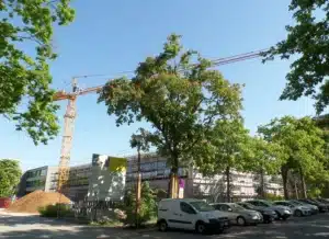 Baum während der Blüte an einer Straße, vor einer Baustelle.