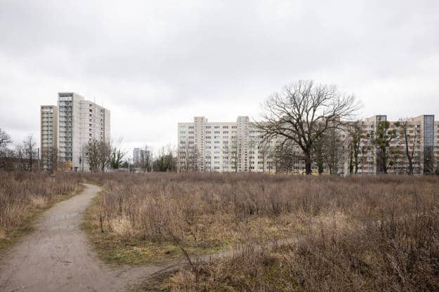 Grünfläche zwischen Lili-Elbe-Straße und Arnoldstraße im Winter 