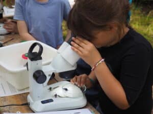 Ein Kind untersucht etwas am Mikroskop