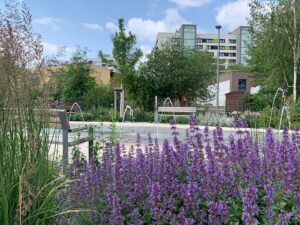 lilafarbene Blumen im Vordergrund und zwei Bänke, dazwischen ein Wasserspiel, bei dem Wasserstrahlen aus dem Boden sprudeln