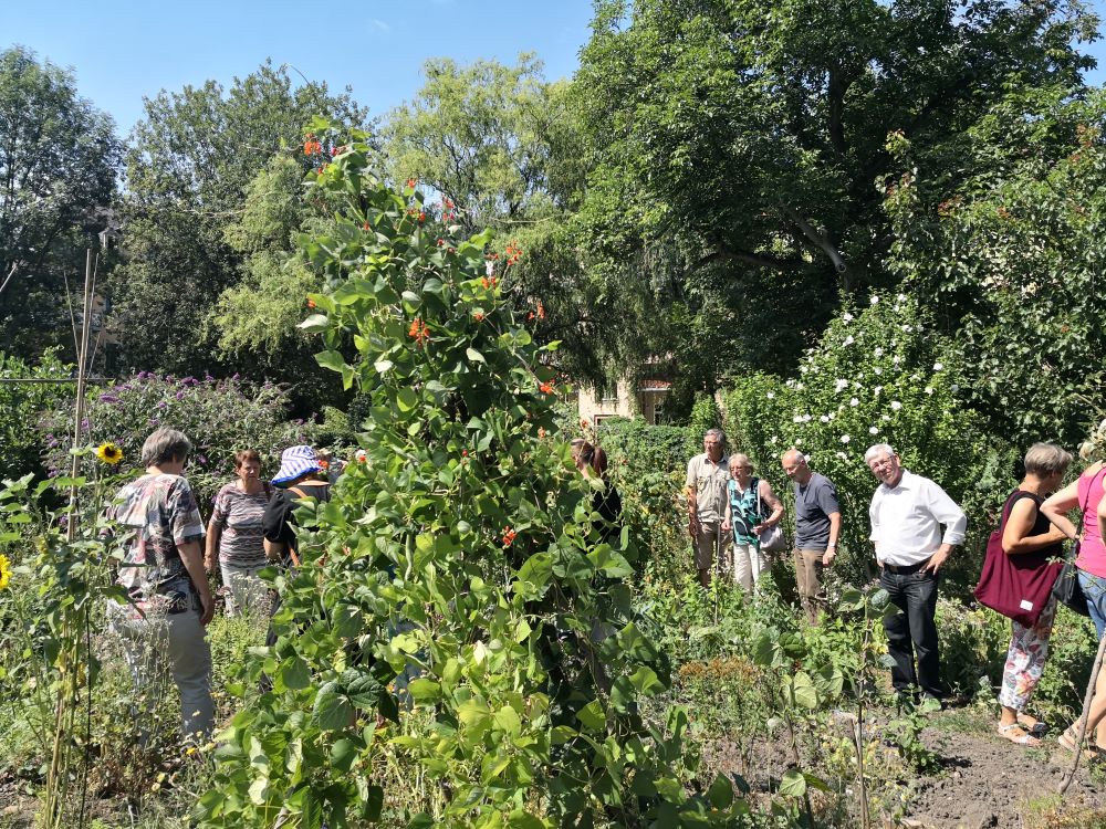 Frühstückstreff: Gemeinsam in die Rente im Gemeinschaftsgarten Johannstadt