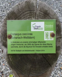 Ein Bild, das Text enthält.