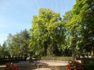 Andachtsplatz auf einem Friedhof von großen Bäumen umrahmt.