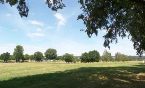 Offene Landschaft mit Wiesen, Sträuchern und Bäumen.