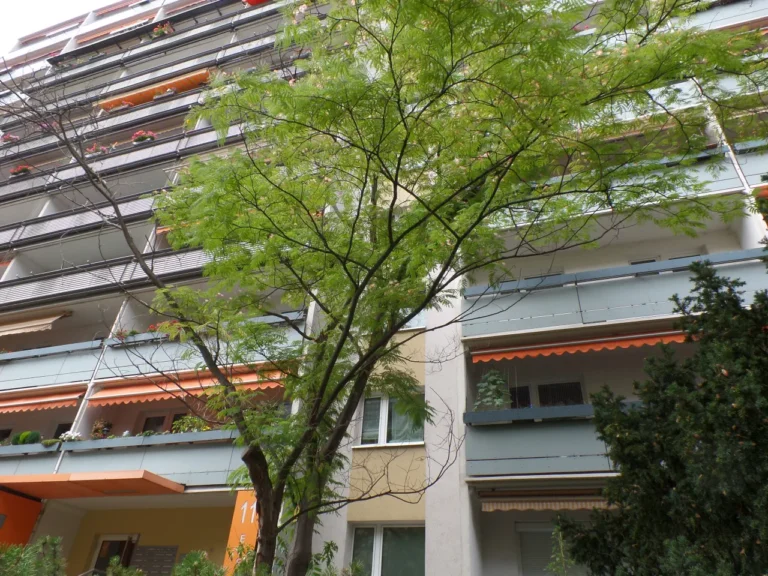Ein Bild, das draußen, Baum, Gebäude, Fenster enthält.